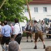 Maibaum 2013